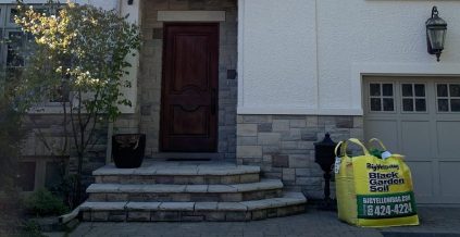 Exterior Painting in Sunnylea