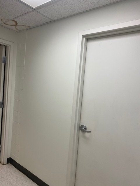 Bathroom Door After Repainting Preview Image 6