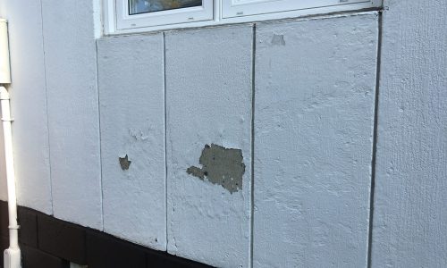 Peeling Exterior Paint