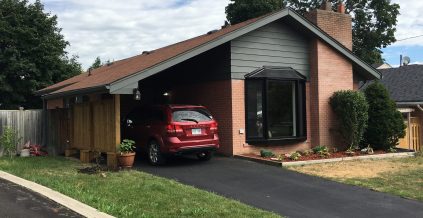 Vinyl Siding Painting Project