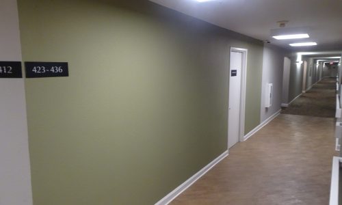 After Photo of Accent Walls Painted Green