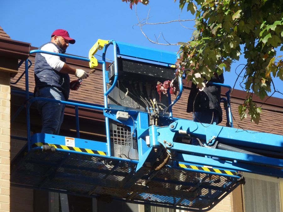 Painter Working on Boom Lift Preview Image 5