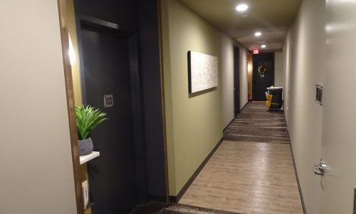 Company Color Hallway
