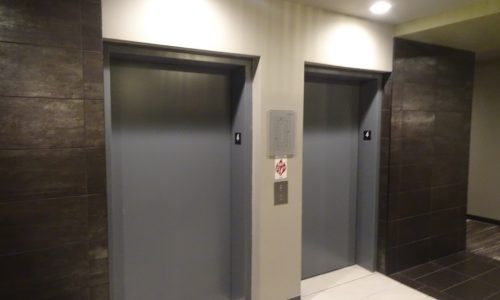 Repainted Elevator Doors