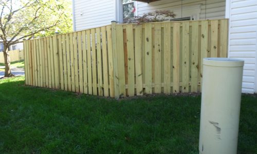 Before View of Fencing