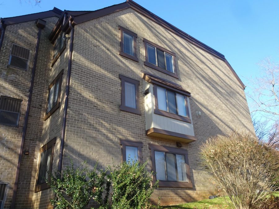 After Photo of Side View Preview Image 15