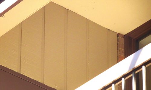 Back View of T1-11 Siding