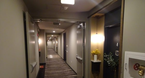 Luxury Apartment Interior Painting