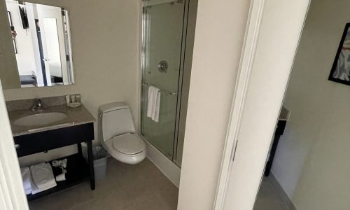 Full Shot of Interior Bathroom Painting