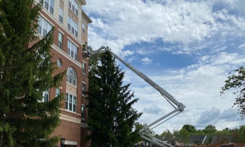 Finishing up the Project