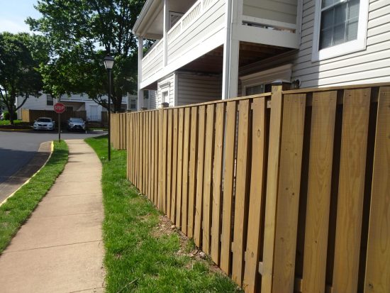 Close Up View of the Fences