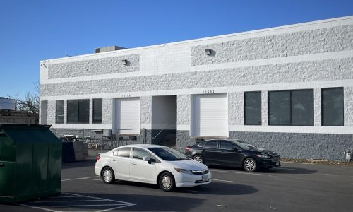 A Bold New Look with Modern Contrast