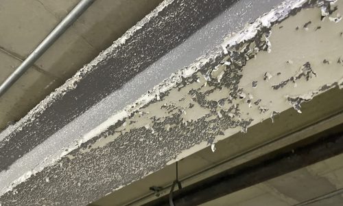 Damaged Ceiling and Beams