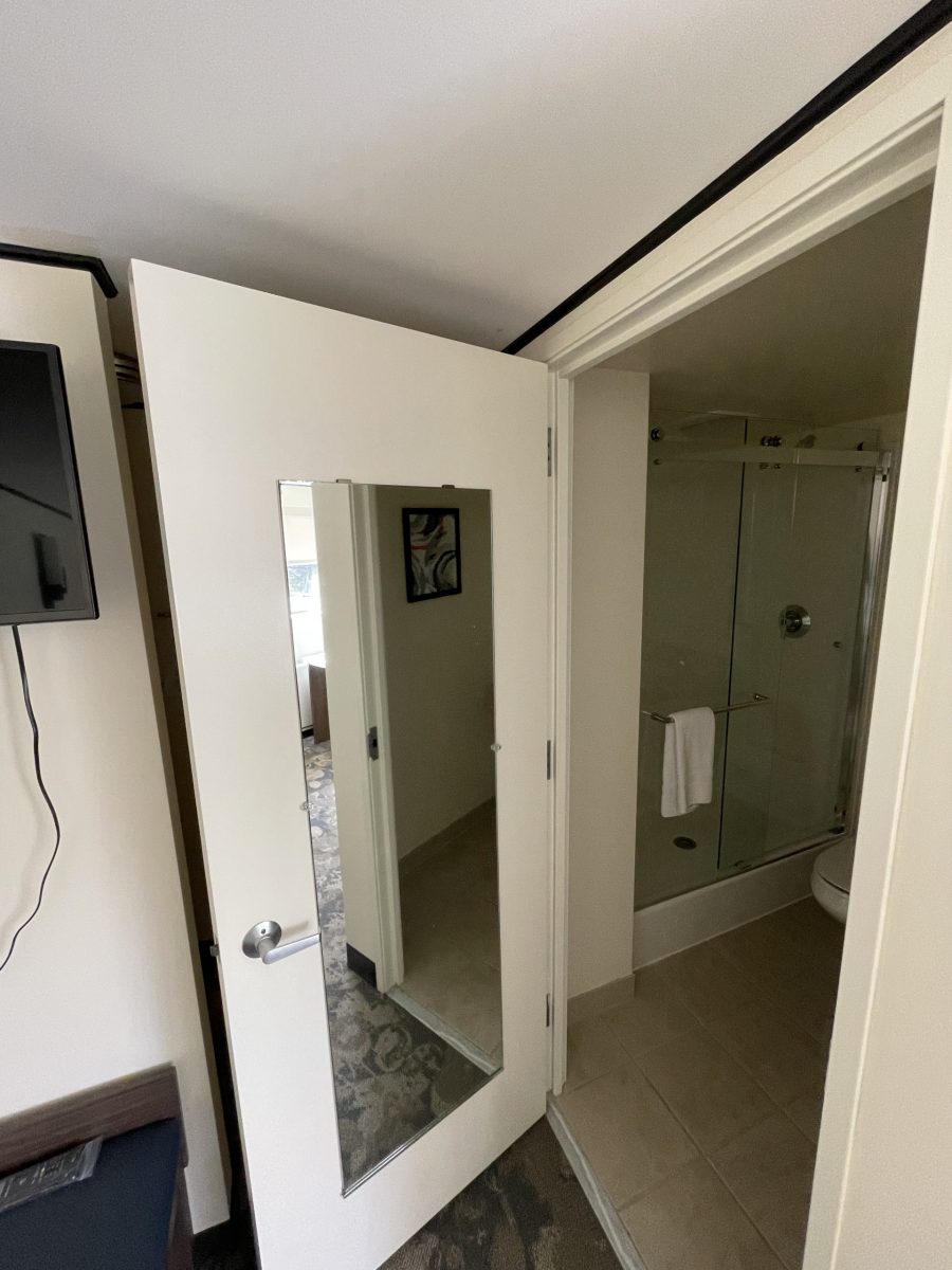 Doors Updated Interior Painting Project Preview Image 5