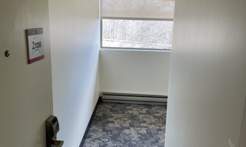 Entryway View of Interior Painting