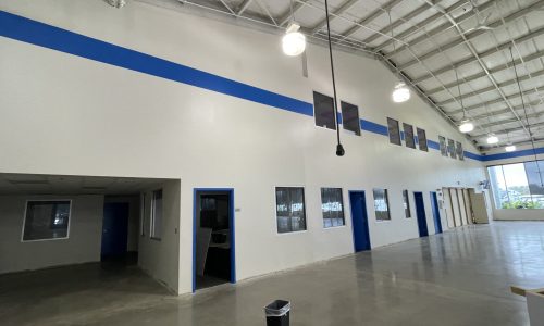 Wall Interior Painting