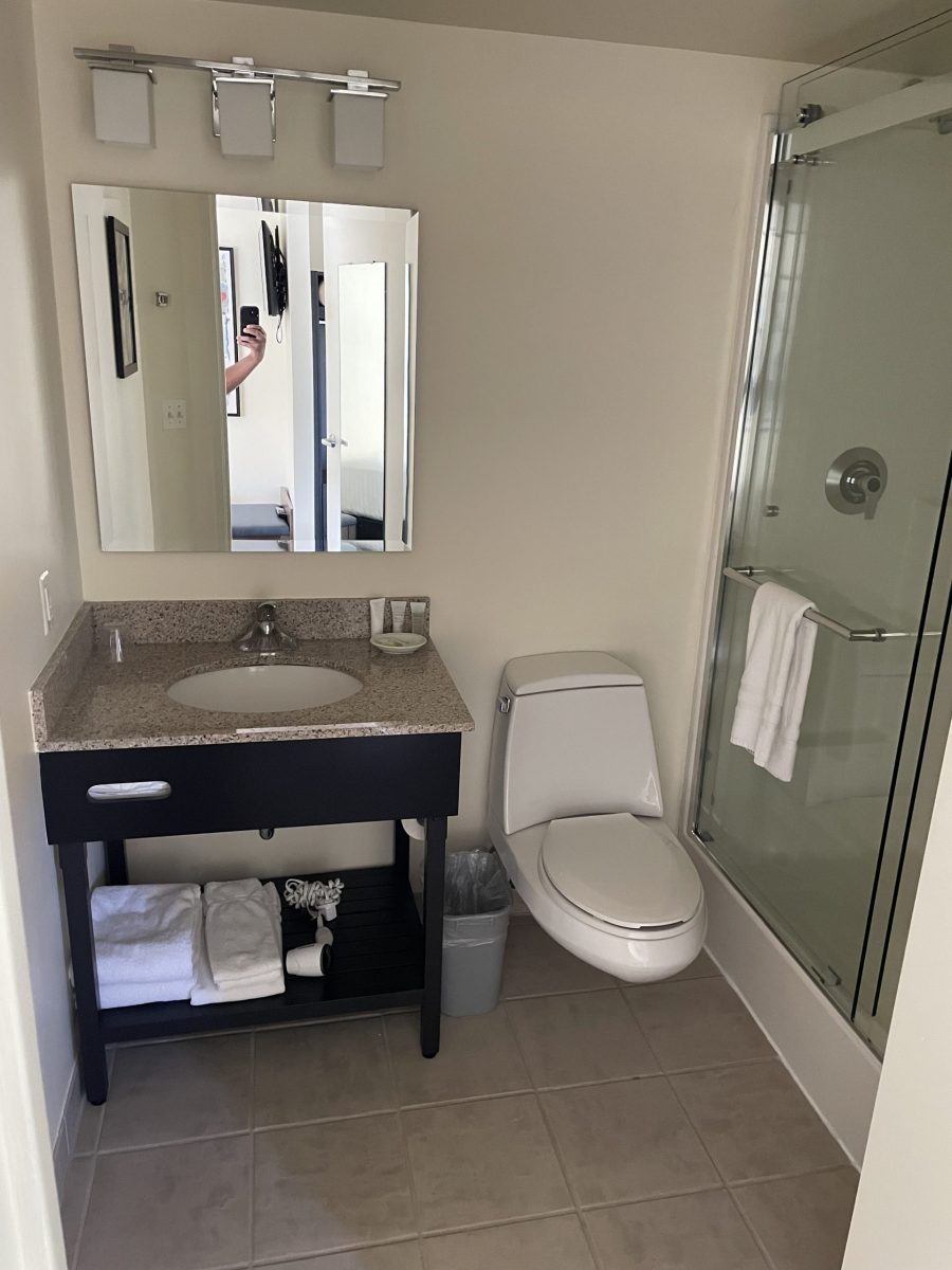 Bathroom Interior Painting Preview Image 11