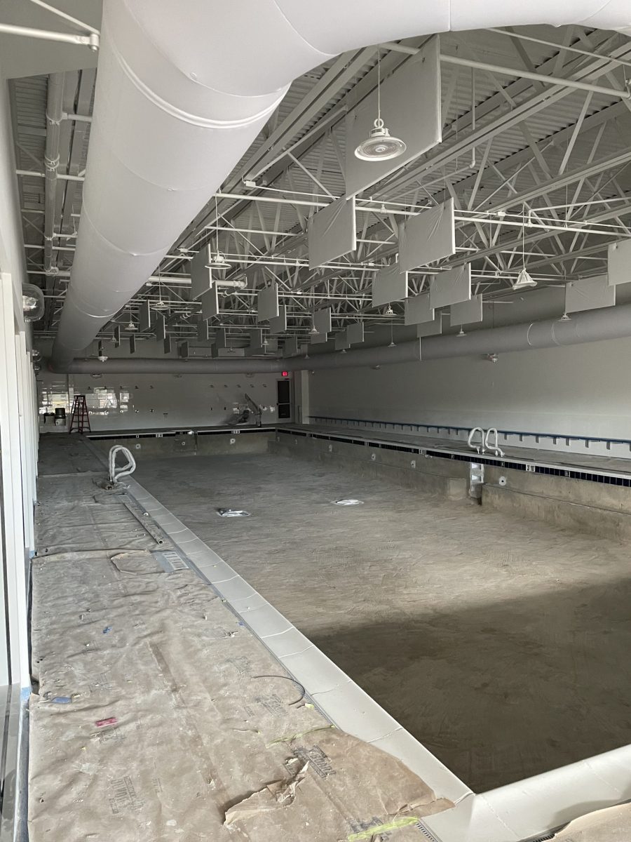 Interior Painting of Pool Walls and Ceiling Preview Image 2