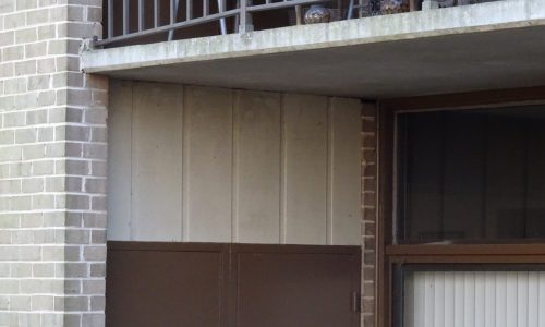 Before Back View of Siding