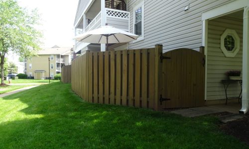 Fence Makeover