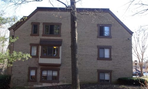 Before Photo of Side View