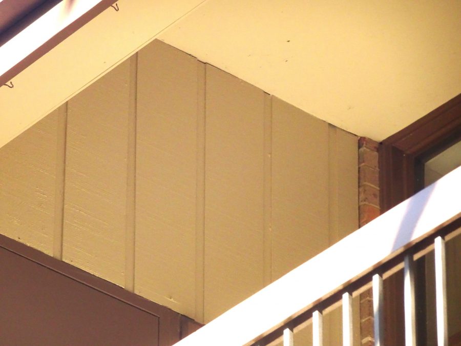 Back View of T1-11 Siding Preview Image 16