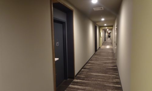 Navy Blue Door and Walls