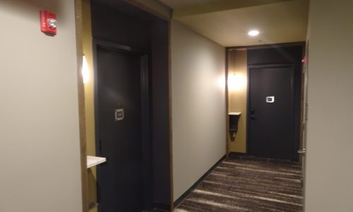 Apartment Door Painting and Columns