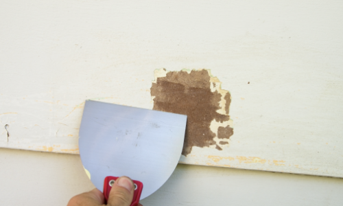 Brown substance being scraped off wall