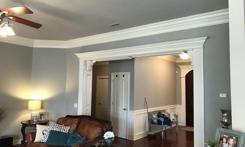 Interior Living Room Painted