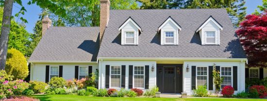 New Home Professional Painters