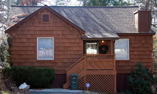 Shake Staining Service