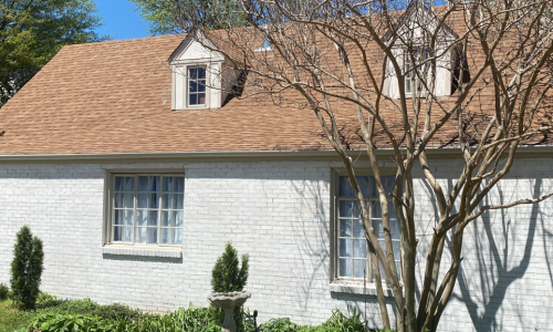 Exterior Limewash With Romabio Paint Product