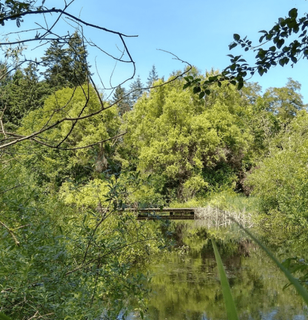 Lake in Federal Way
