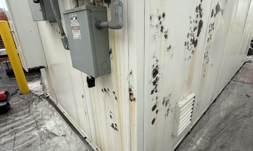 Exterior Painting (During)