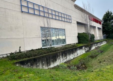 Harbor Freight Side Angle (Before)