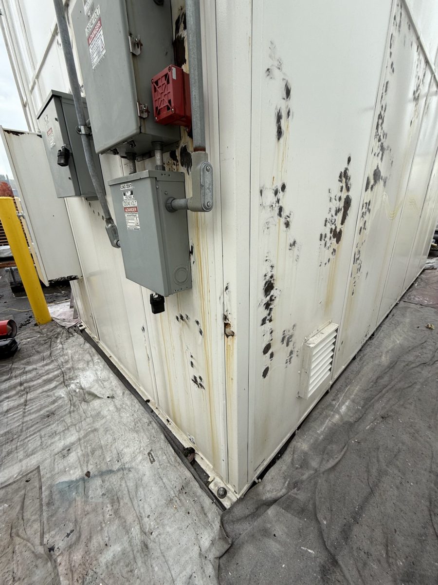 Exterior Painting (During) Preview Image 15