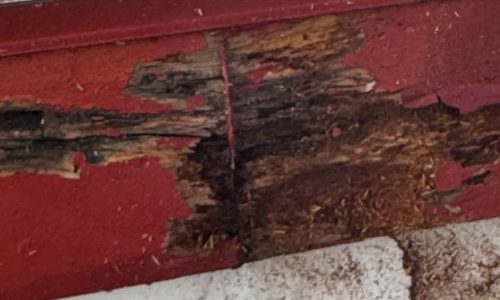 Exterior Painting (Before)