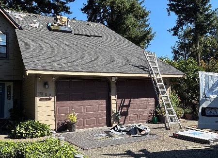 ladder against house during repaint