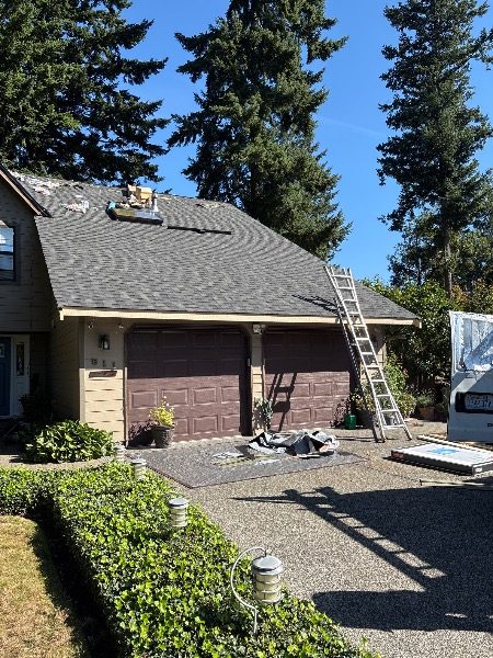 ladder against house during repaint Preview Image 10