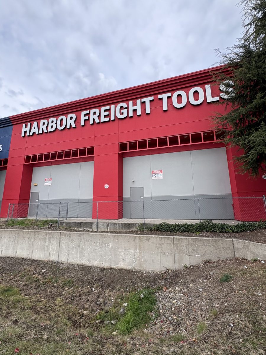 Harbor Freight Painting Project Preview Image 8