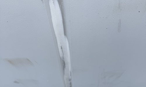 Exterior Painting (During)