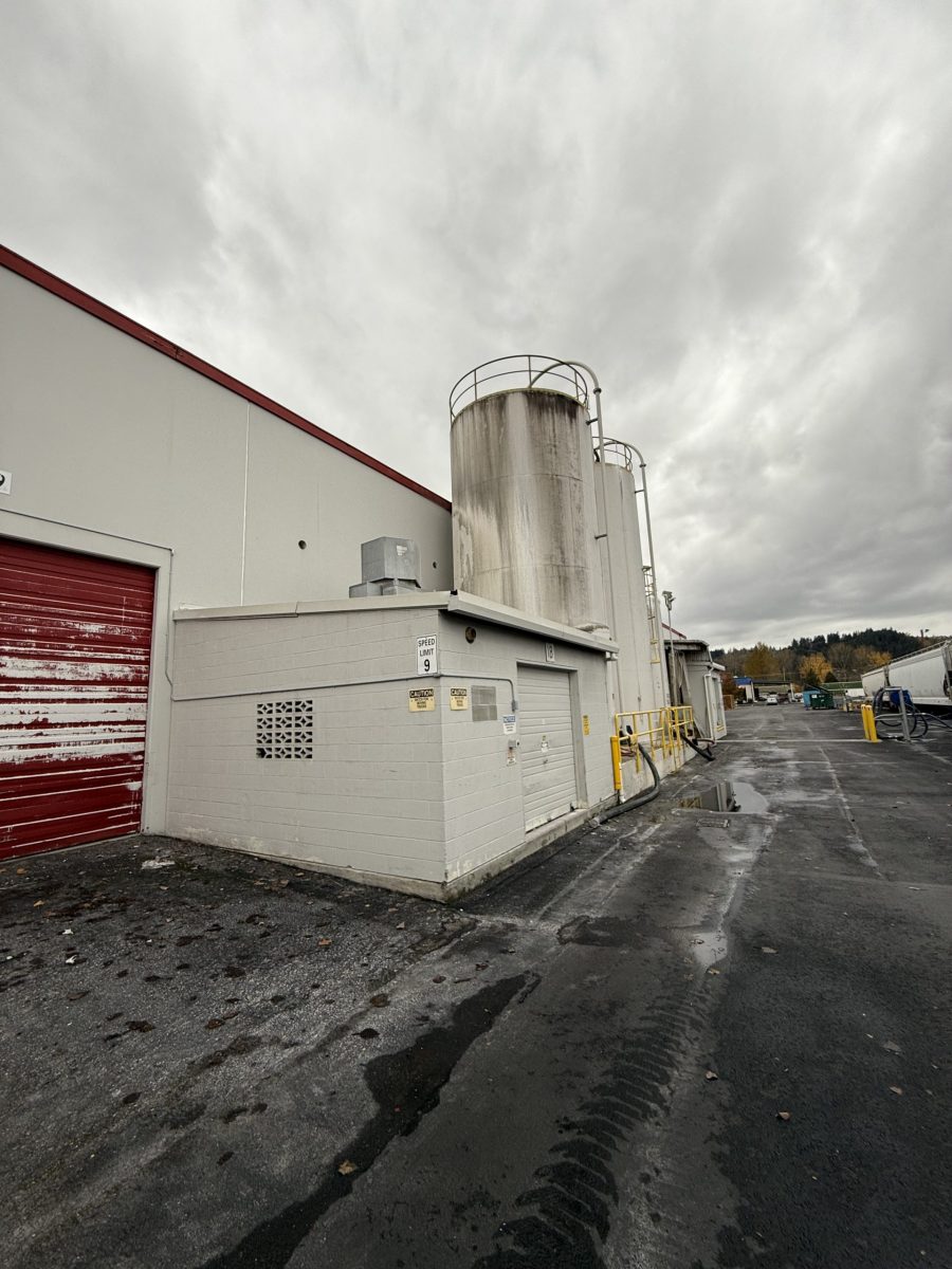 Exterior Painting (During) Preview Image 10