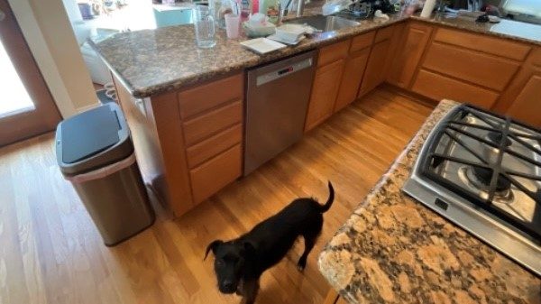 Kitchen Transformation (Before) Preview Image 4