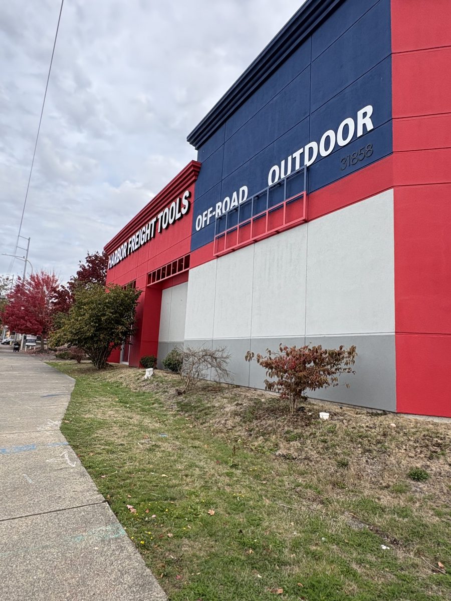 Harbor Freight Painting Project Preview Image 12