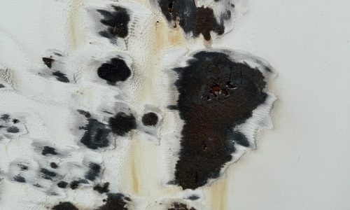 Exterior Painting (During)