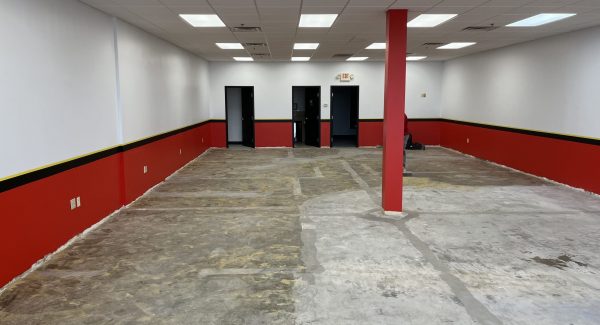 Professional White, Black, and Red Interior Painting Learning Facility