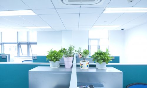 sugar land tx office building painting company