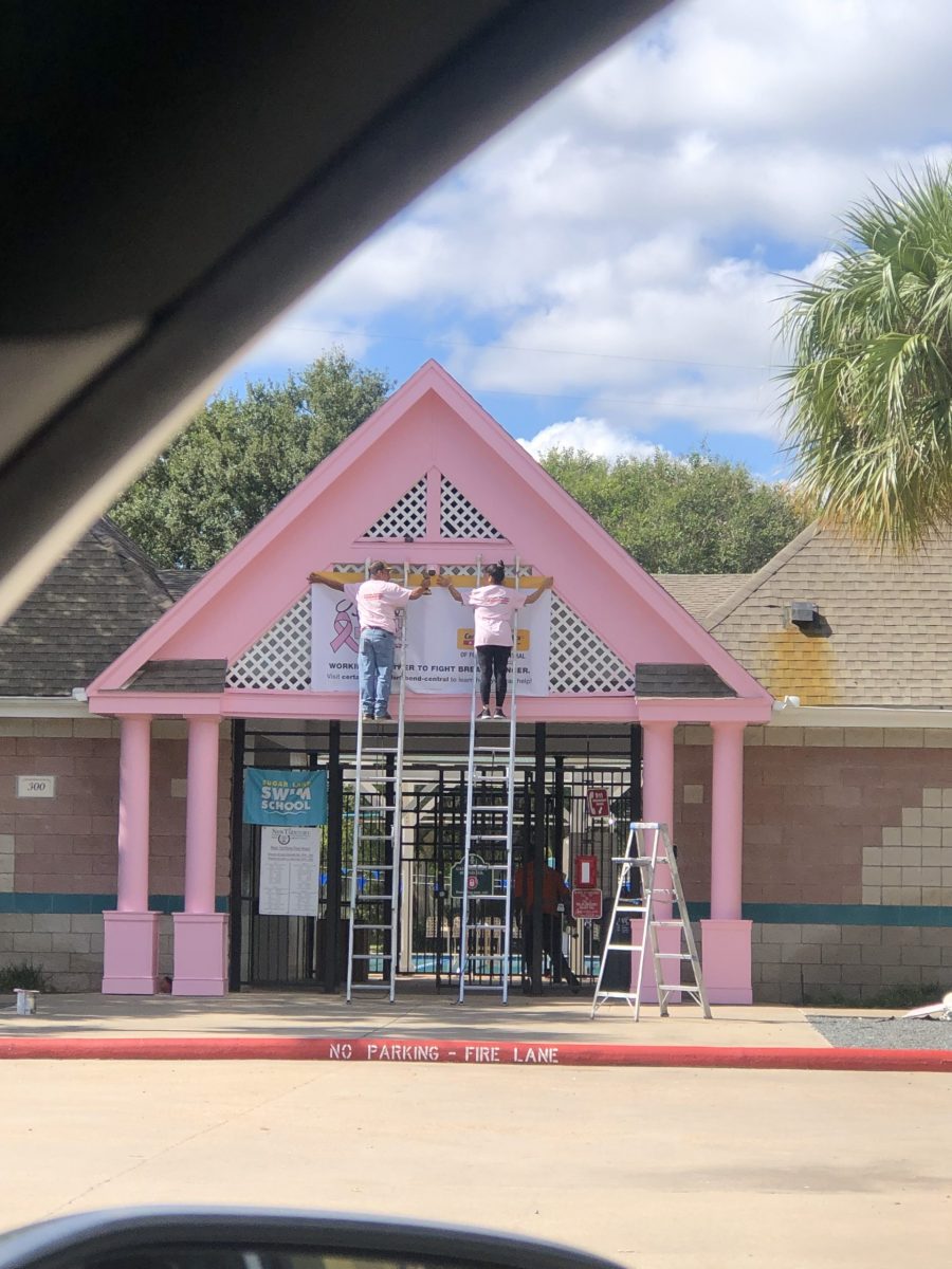 new territory pool house exterior paint it pink Preview Image 1