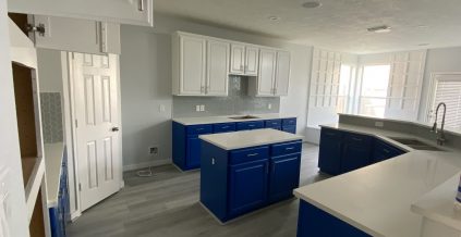 Blue Painted Cabinets